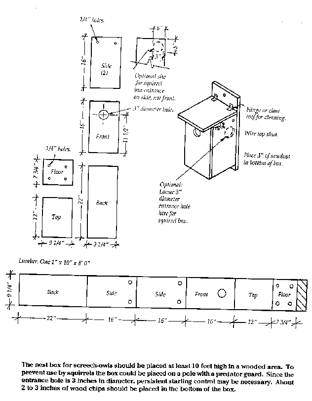 eastern bluebird house plans